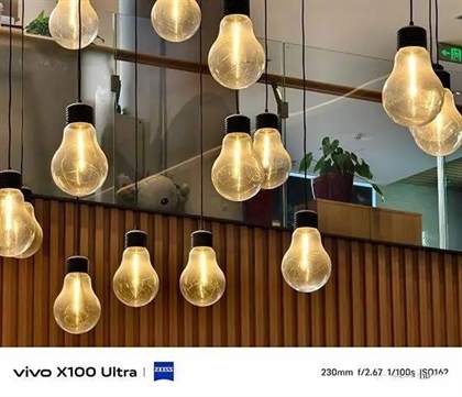 vivoX100Ultra评测