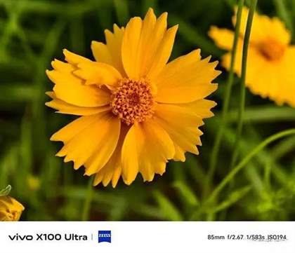 vivoX100Ultra评测