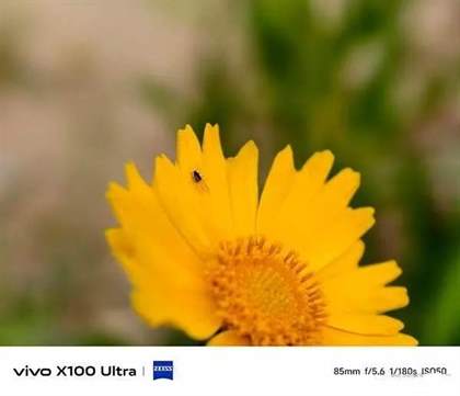 vivoX100Ultra评测
