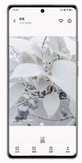 vivox100四季人像功能怎么用-使用教程(图文)