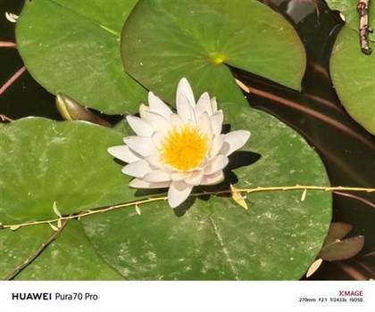 用了一个月华为Pura 70 Pro：我决定推荐下这个大杯 超值