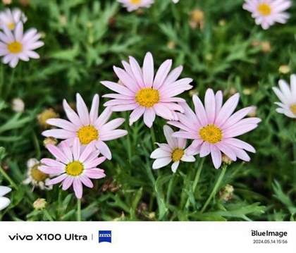vivoX100Ultra拍照测评 2亿APO长焦影像新高度