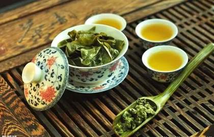 古茶树公益 墨雪发起保护古茶树公益活动