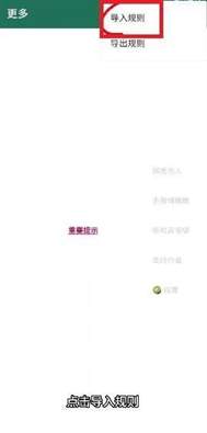 李跳跳怎么导入最新广告规则