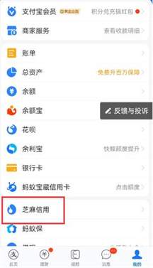 支付宝芝麻信用在哪里查