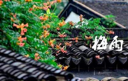 梅雨季节是什么时间 梅雨是什么意思