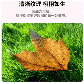nova13pro参数配置