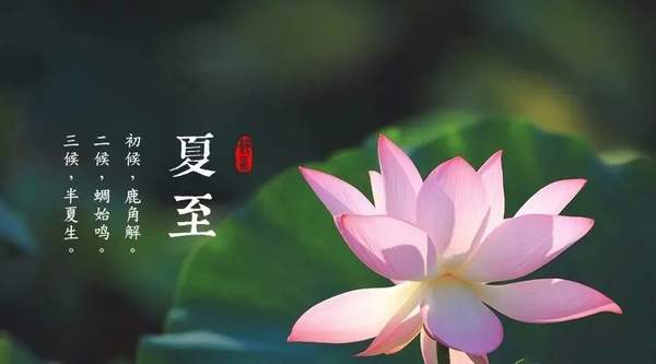 夏至是什么意思 夏至是几月几日