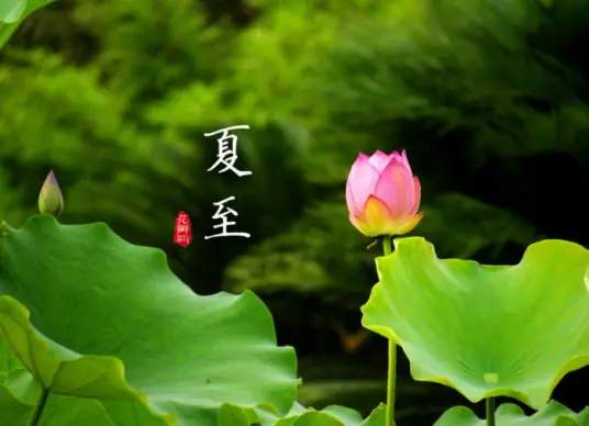 夏至是什么意思 夏至是几月几日