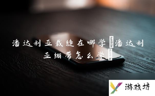 潘达利亚裁缝在哪学(潘达利亚绷带怎么学)