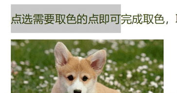 WPS文字取色器使用教程！