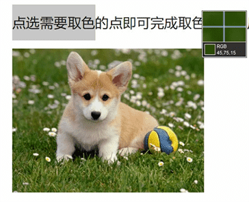 WPS文字取色器使用教程！