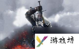 巫师2官方游戏攻略指南(巫师2 官方攻略)