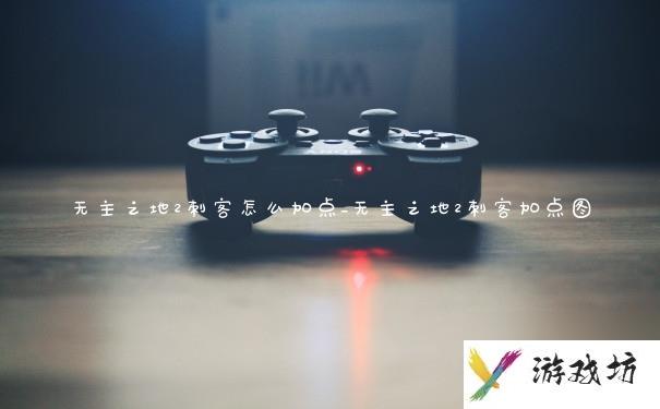 无主之地2刺客怎么加点_无主之地2刺客加点图