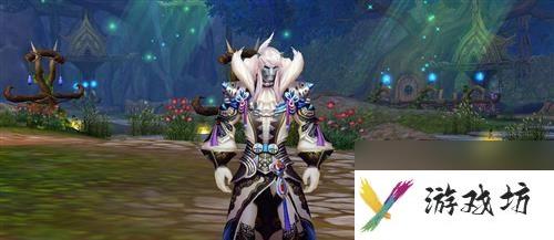 新神魔大陆法师转职最佳选择（探究法师转职的技能与装备）