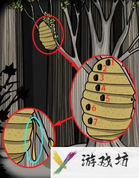 锈湖天堂岛第三灾蚊灾和虱灾蜂巢顺序是什么