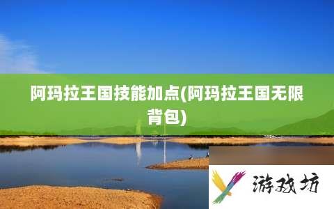 阿玛拉王国技能加点⸨阿玛拉王国无限背包⸩