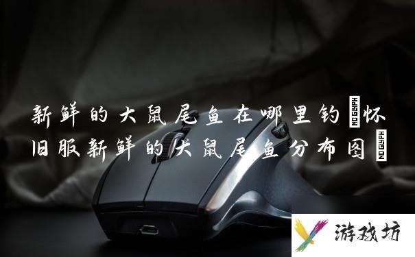 新鲜的大鼠尾鱼在哪里钓(怀旧服新鲜的大鼠尾鱼分布图)