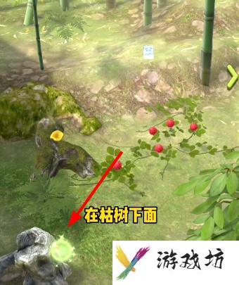 夺笋高手游戏攻略大全