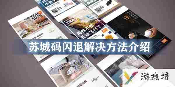 苏城码闪退怎么回事