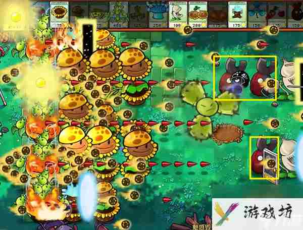 植物大战僵尸杂交版魅惑毁灭菇6通关攻略