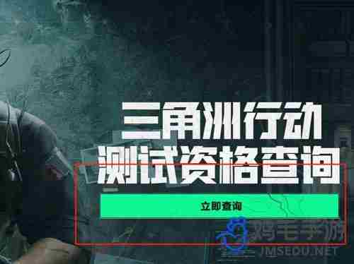 三角洲行动代号双子测试资格怎么查询