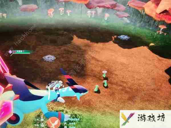 幻兽帕鲁樱岛抽油地在哪