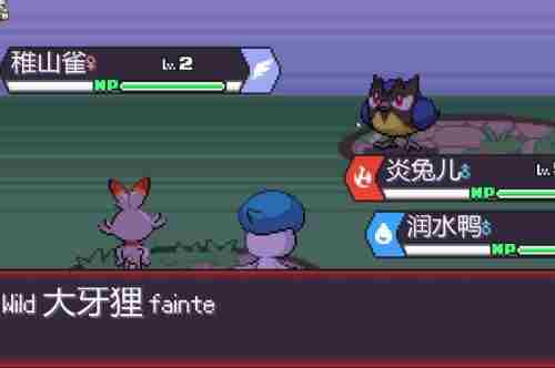 宝可梦肉鸽新手怎么玩
