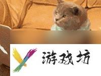 冒险岛龙神技能解析（冒险岛手游龙神职业属性介绍）「必看」