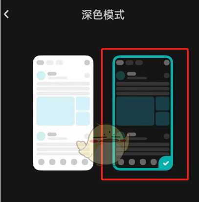 lofter夜间模式怎么开启__老福特夜间模式开启方法