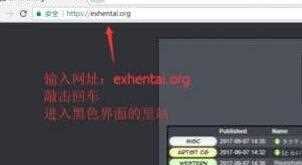 EHviewer怎么进入里站_EHviewer进入里站方法