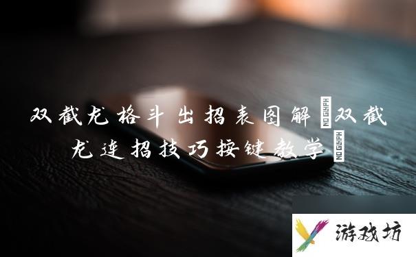 双截龙格斗出招表图解(双截龙连招技巧按键教学)