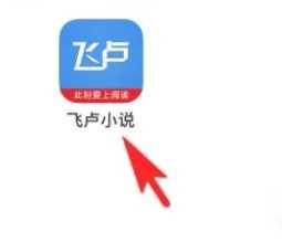 飞卢小说如何打赏作者(飞卢小说打赏作者的方法)