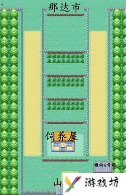 口袋妖怪叶绿攻略图解一周目