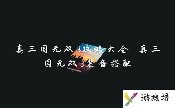 真三国无双3攻略大全 真三国无双3装备搭配