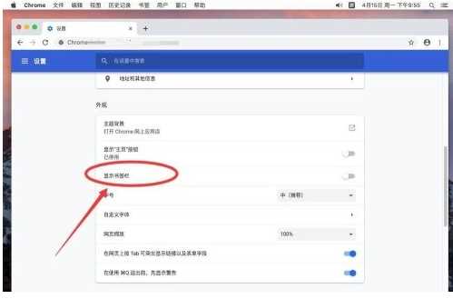 谷歌浏览器显示书签栏的方法与步骤