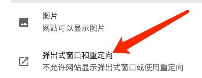 《谷歌浏览器》允许网站重定向的操作方法