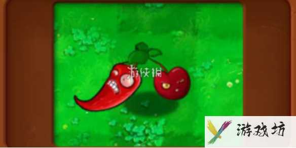 植物大战僵尸杂交版樱桃辣椒属性介绍