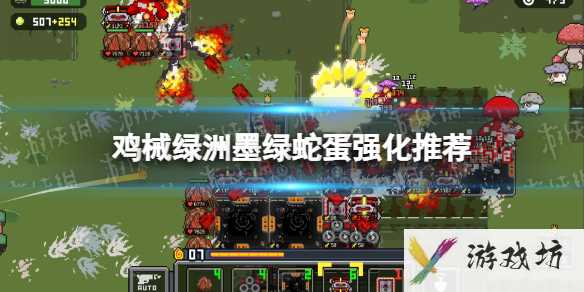 《鸡械绿洲》墨绿蛇蛋强化推荐