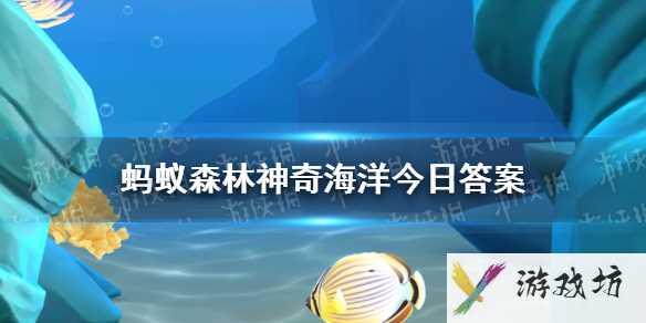 神奇海洋海中哥斯拉2.2答案 有“海中哥斯拉”之称的是大白鲨吗