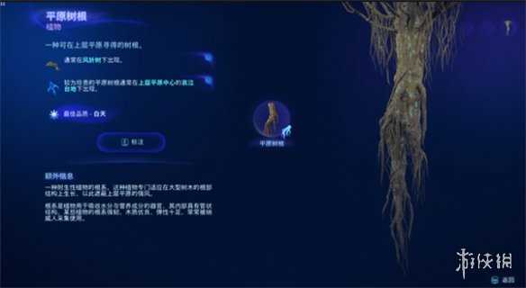 《阿凡达潘多拉边境》平原树根位置介绍1