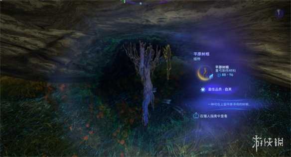《阿凡达潘多拉边境》平原树根位置介绍2