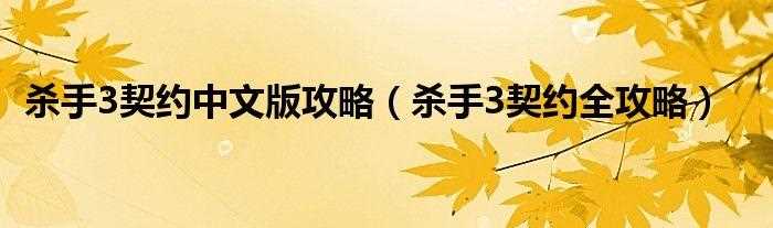 杀手3契约秘籍-杀手3契约秘籍有什么用  第1张