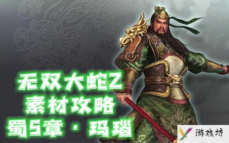 无双大蛇zmod-无双大蛇z玛瑙素材获得方法  第1张