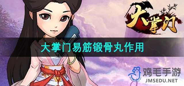 《大掌门》易筋锻骨丸作用介绍