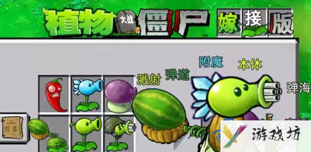 《植物大战僵尸嫁接版》游戏制作者介绍