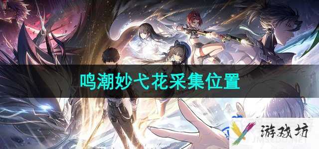 《鸣潮手游》妙弋花采集位置