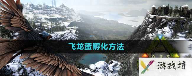 《方舟：生存进化》飞龙蛋孵化方法