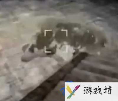 《内容警告》全怪物应对方法