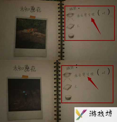 《绿色地狱》寄生虫解决方法
